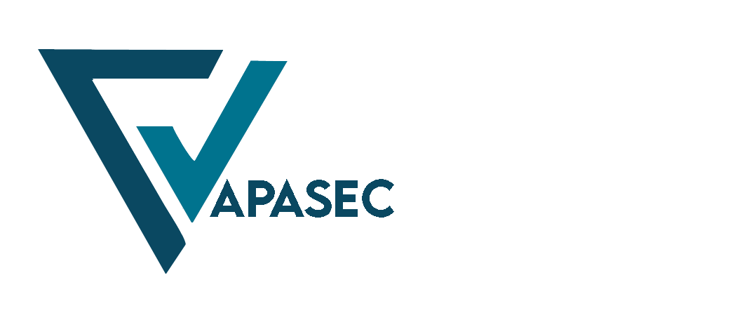 VapaSec Technology Consulting